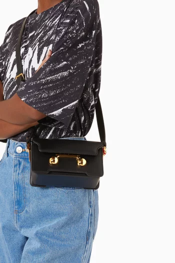 Mini Trunkaroo Shoulder Bag in Calfskin Leather