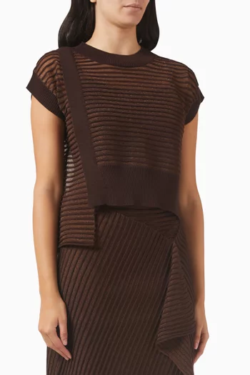 Asymmetric Top in Mesh