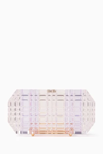 Sierra Clutch Bag in Acrylic