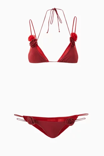 Rose Two-piece Swimsuit in Lurex