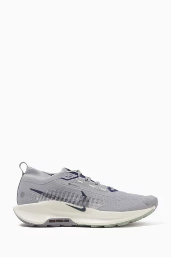 Pegasus Trail 5 GORE-TEX Sneakers