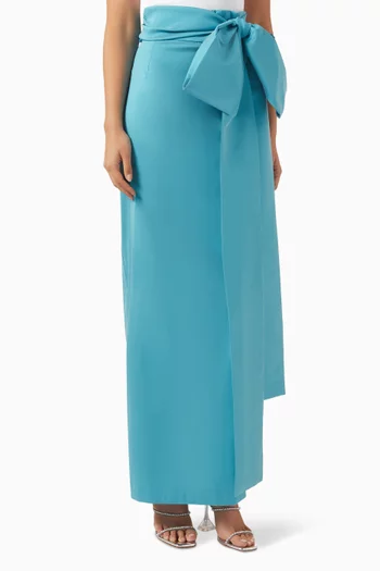 Bernard Maxi Skirt in Taffeta