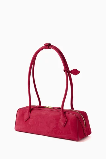 Medium Le Teckel Bag in Nubuck Leather