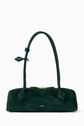 Medium Le Teckel Shoulder Bag in Suede