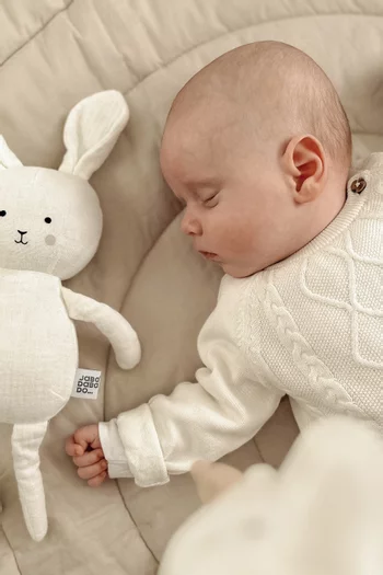 Buddy Bunny Gift Box