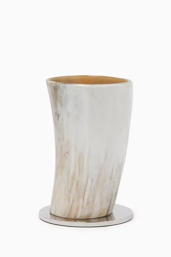 Container in Horn & Brass