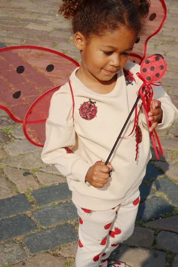 Fairy Ladybug Costume