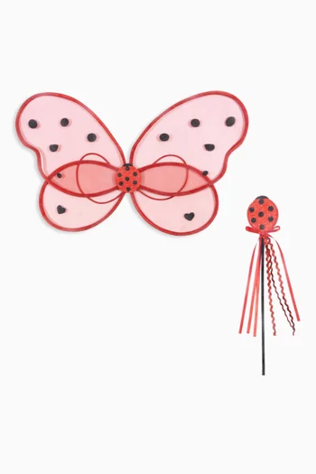 Fairy Ladybug Costume