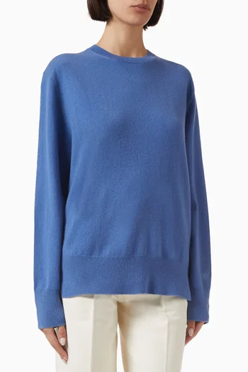 Crewneck Knit Sweater in Cashmere