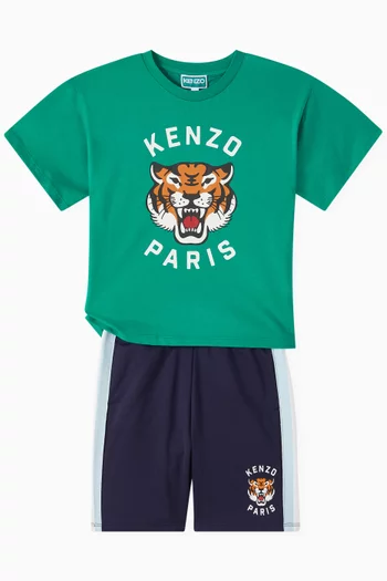 Tiger Embroidered Bermuda Shorts in Cotton