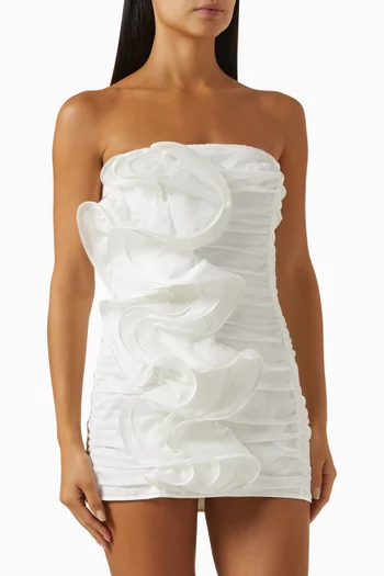 Orbet Ruffle Mini Dress in Cotton Blend