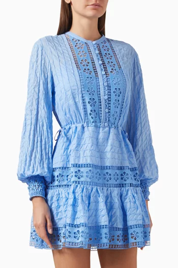 Begonne Broderie Anglaise Mini Dress