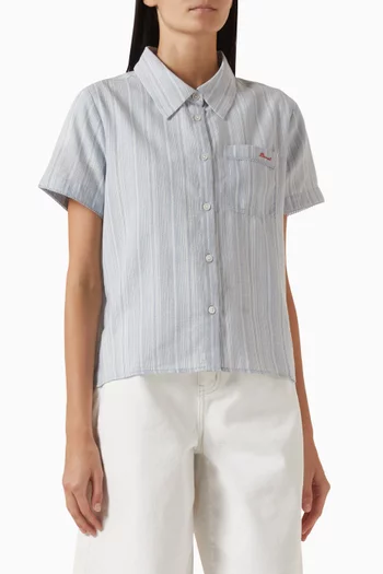 Striped Shirt in Lace