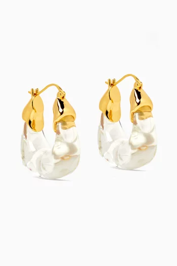 Hoop Earrings in Plated Brass & Resin