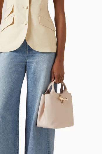 Small Le Roseau Tote Bag in Leather