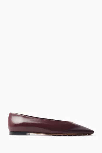 Sofia Ballerina Flats in Leather