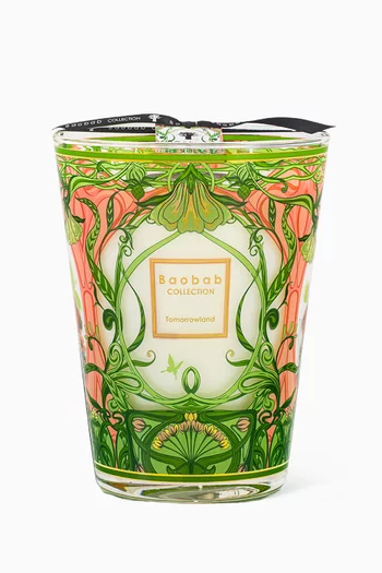 Max 24 Tomorrowland 2024 Candle, 3000g