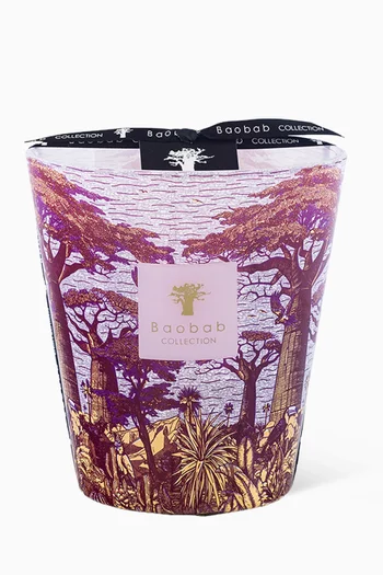 Max 16 Sacred Trees Massasso, 1100g