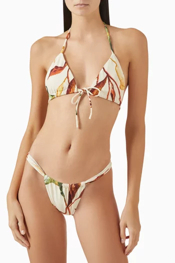 Sandra Bikini Briefs