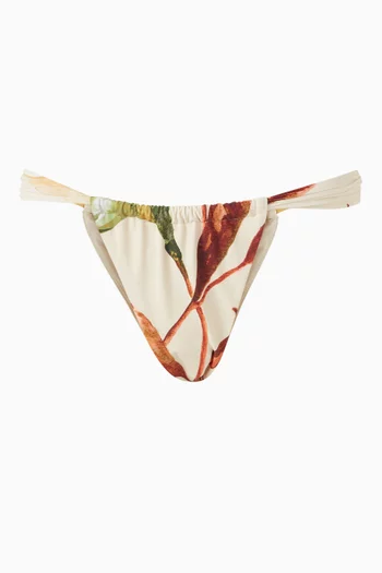 Sandra Bikini Briefs