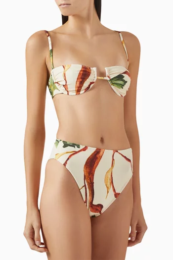 Paula High-waist Bikini Briefs