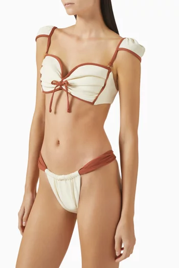 Sandra Bikini Briefs
