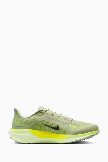 Pegasus 41 Sneakers in Mesh