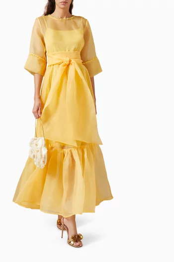 Beatrice Maxi Dress in Organza