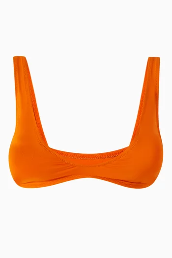 Plunge Triangle Bikini Top