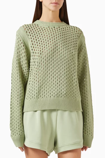 Hains Knit Crewneck Sweater in Cotton