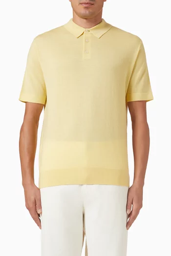 Knit Polo Shirt in Wool Blend