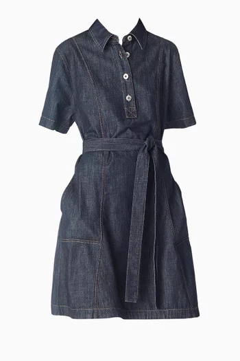 Belted Mini Dress in Denim