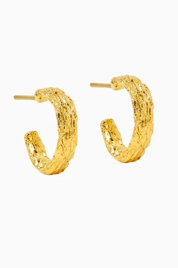 Small Rope Hoop Earrings in 22kt Gold-plated Brass