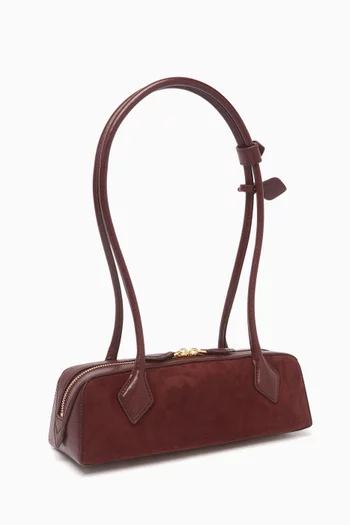 Small Le Teckel Shoulder Bag in Suede