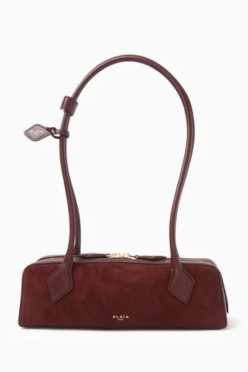 Small Le Teckel Shoulder Bag in Suede