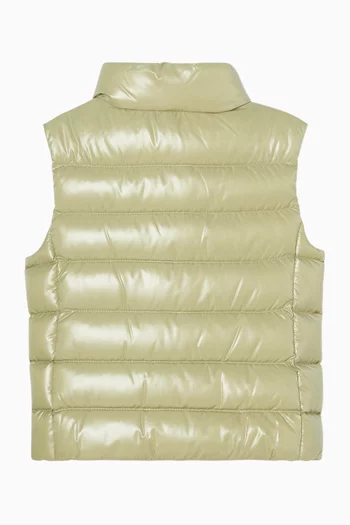 Ghany Down Vest
