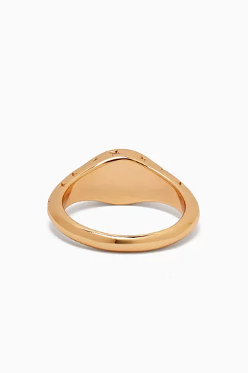Cosmic Signet Ring in 18kt Gold-plated Sterling Silver