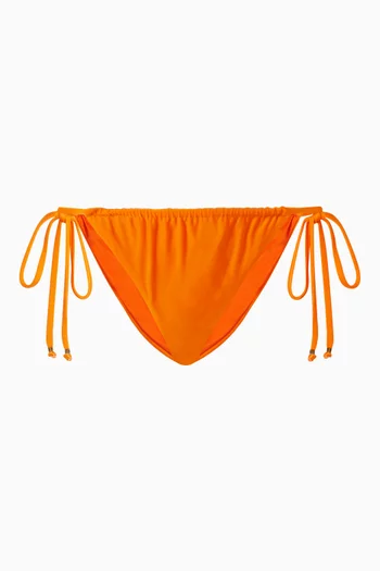 Lula Bikini Briefs in Lycra