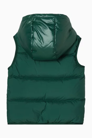 Voldan Hooded Down Vest