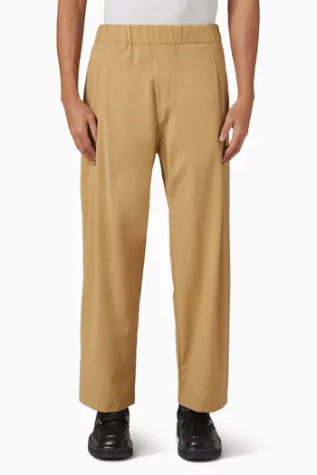 Pants in Wool