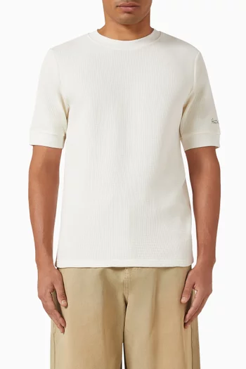 Fitted T-shirt in Cotton Jersey