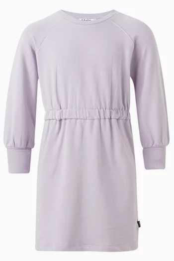 Caeley Sweatshirt Dress in Organic Cotton