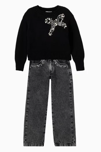 Pearl Embroidered Sweater in Knit