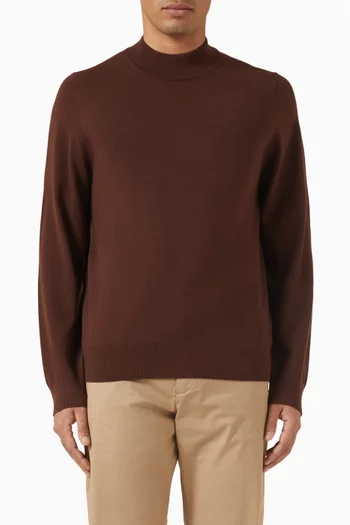 High Collar Sweater in Wool