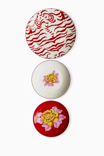 Indian Tiger Plates in Porcelain, Set of 3