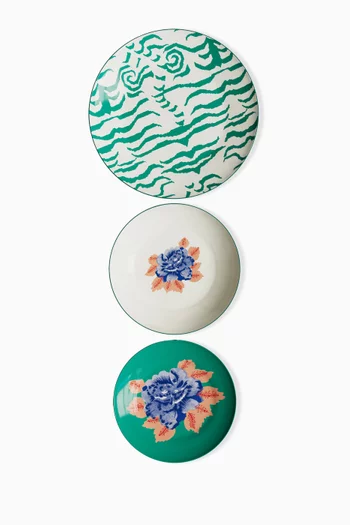 Indian Tiger Plates in Porcelain, Set of 3