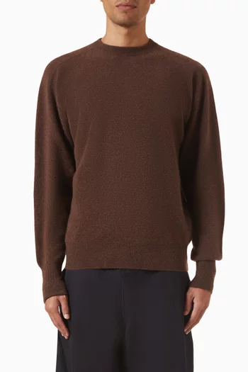 Crewneck Sweater in Cashmere
