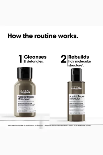 Absolut Repair Molecular Mini Duo Set