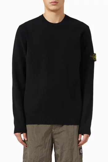 Crew Neck Sweater in Stretch RWS Wool