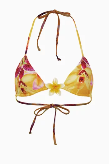 قطعة بيكيني علوية آيلاند بتصميم مثلث